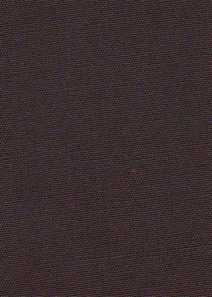 Plain Brown