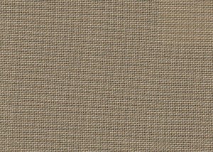 Plain Beige
