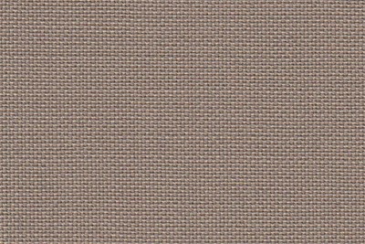 Plain Beige
