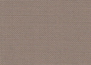 Plain Beige