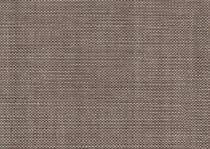 Plain Beige