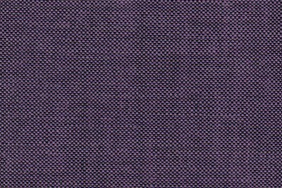 Plain Purple