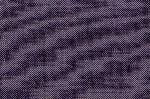 Plain Purple