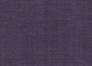 Plain Purple