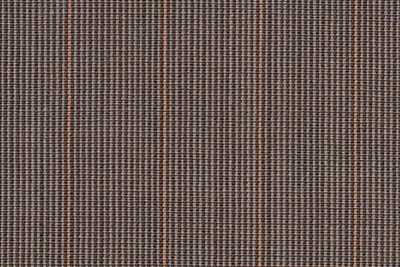 Fawn/Brown with Orange stripe