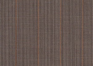 Fawn/Brown with Orange stripe