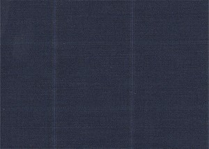Navy with blue & green check