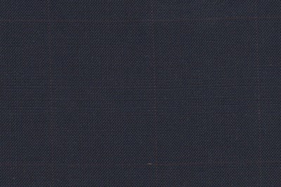 Navy With Tan Check