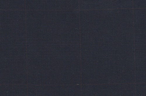 Navy With Tan Check