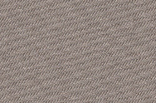 Plain Beige