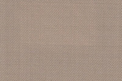 Plain Beige