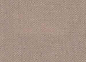 Plain Beige