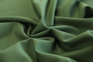 Plain Pea Green