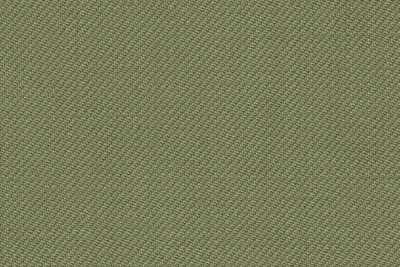 Plain Pea Green