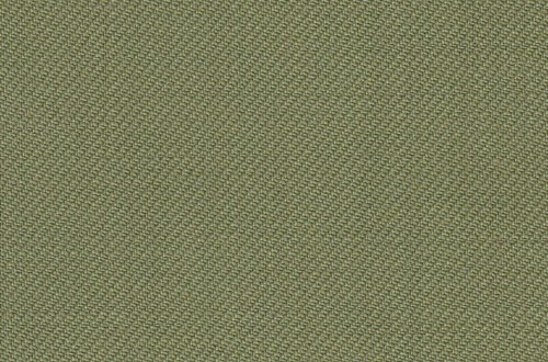 Plain Pea Green