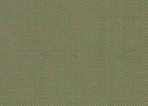 Plain Pea Green