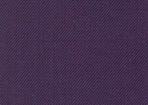 Plain Purple