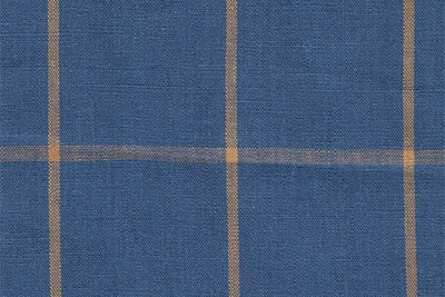 Blue with Yellow Check