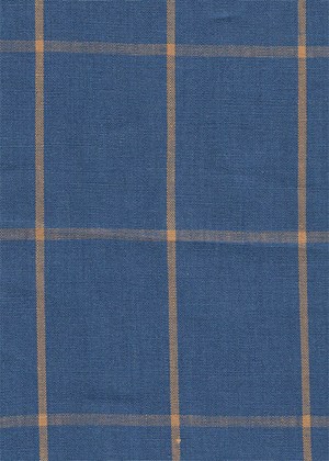 Blue with Yellow Check
