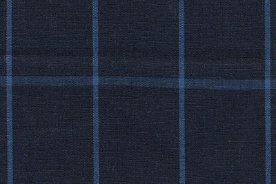 Navy with blue Check