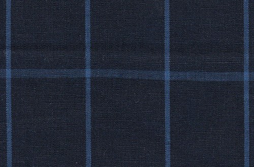 Navy with blue Check