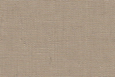 Plain Beige