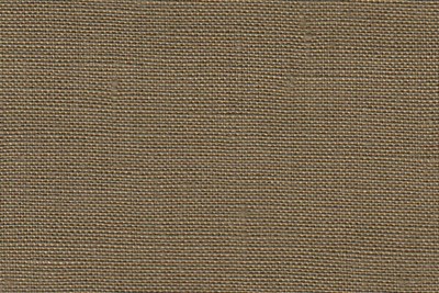 Plain Light Brown
