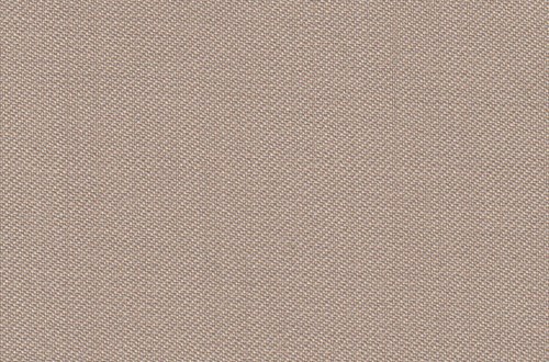 Plain Beige