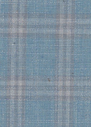 Light Blue with Grey check