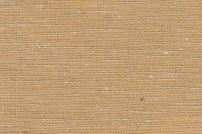 Plain Beige