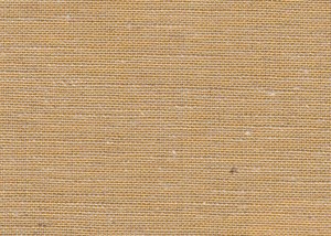 Plain Beige