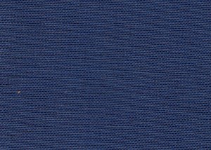 Plain Blue
