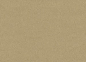Plain Sand
