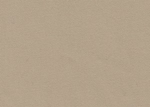 Plain Beige