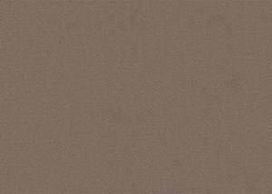 Plain Tan