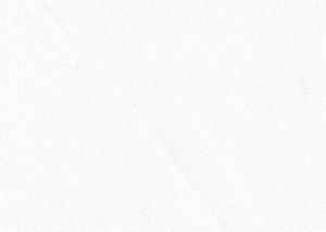 Plain White