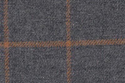 Grey w/ gold check