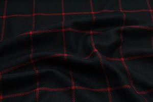 Black w/ Red Check