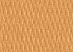 Plain Gold