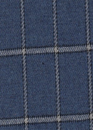 Blue w/White/Black Check