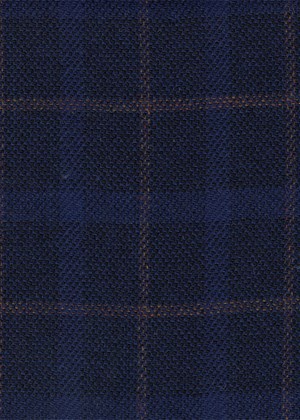 Navy w/Blue & Tan overcheck
