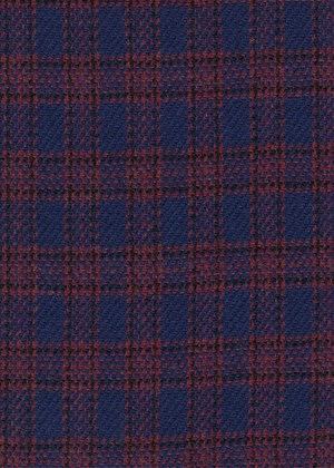 Blue w/ small red check