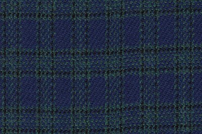 Blue w/ Small Green check