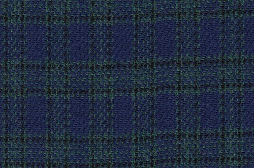 Blue w/ Small Green check