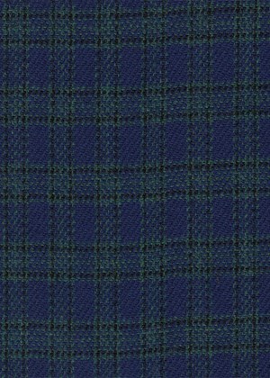 Blue w/ Small Green check