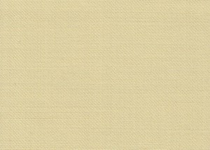 Plain Pale Yellow