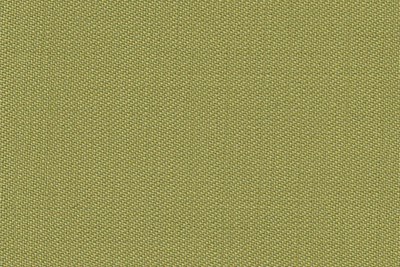 Plain light Green