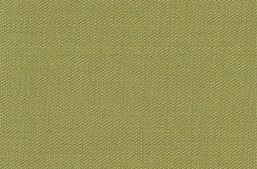 Plain light Green