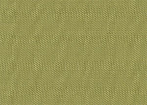 Plain light Green