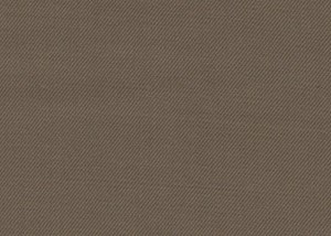 Dark Beige